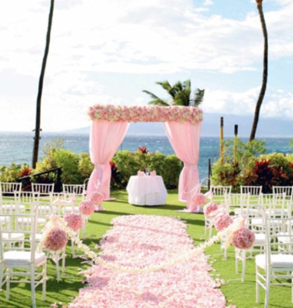 Stylish light Pink beach wedding ceremony