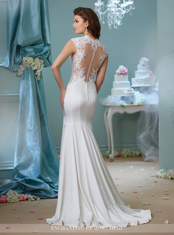 2017 Stylish Destination Weddings Dresses_Enchanting by Mon Cheri _Style No 216158 bk 