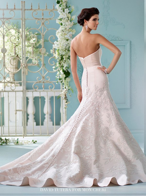 Rose Quartz Blush Pink Wedding Dresses _ David-tutera-for-mon-cheri wedding dresses _216236 Hinto